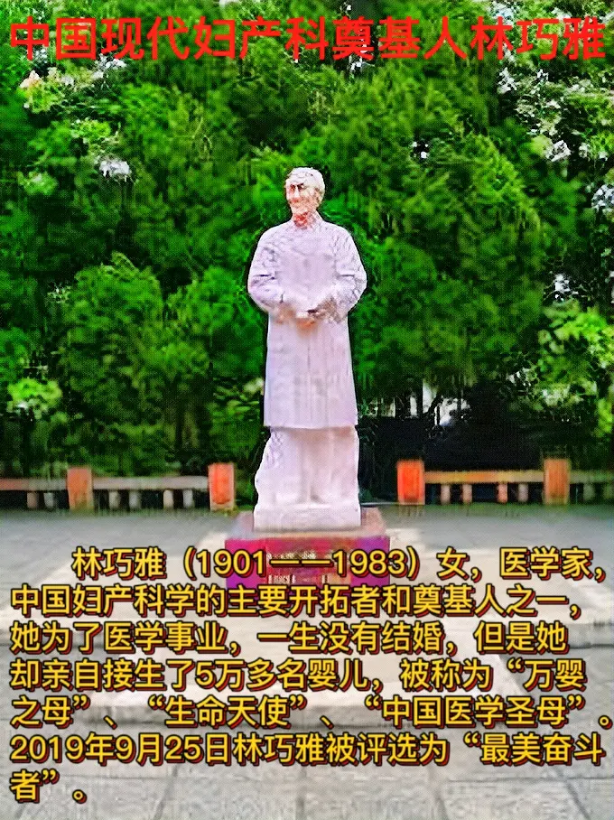 林巧稚简介视频