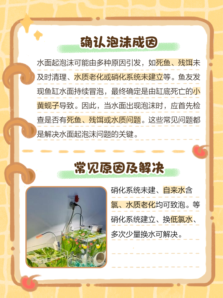 制作泡泡水的方法和原理