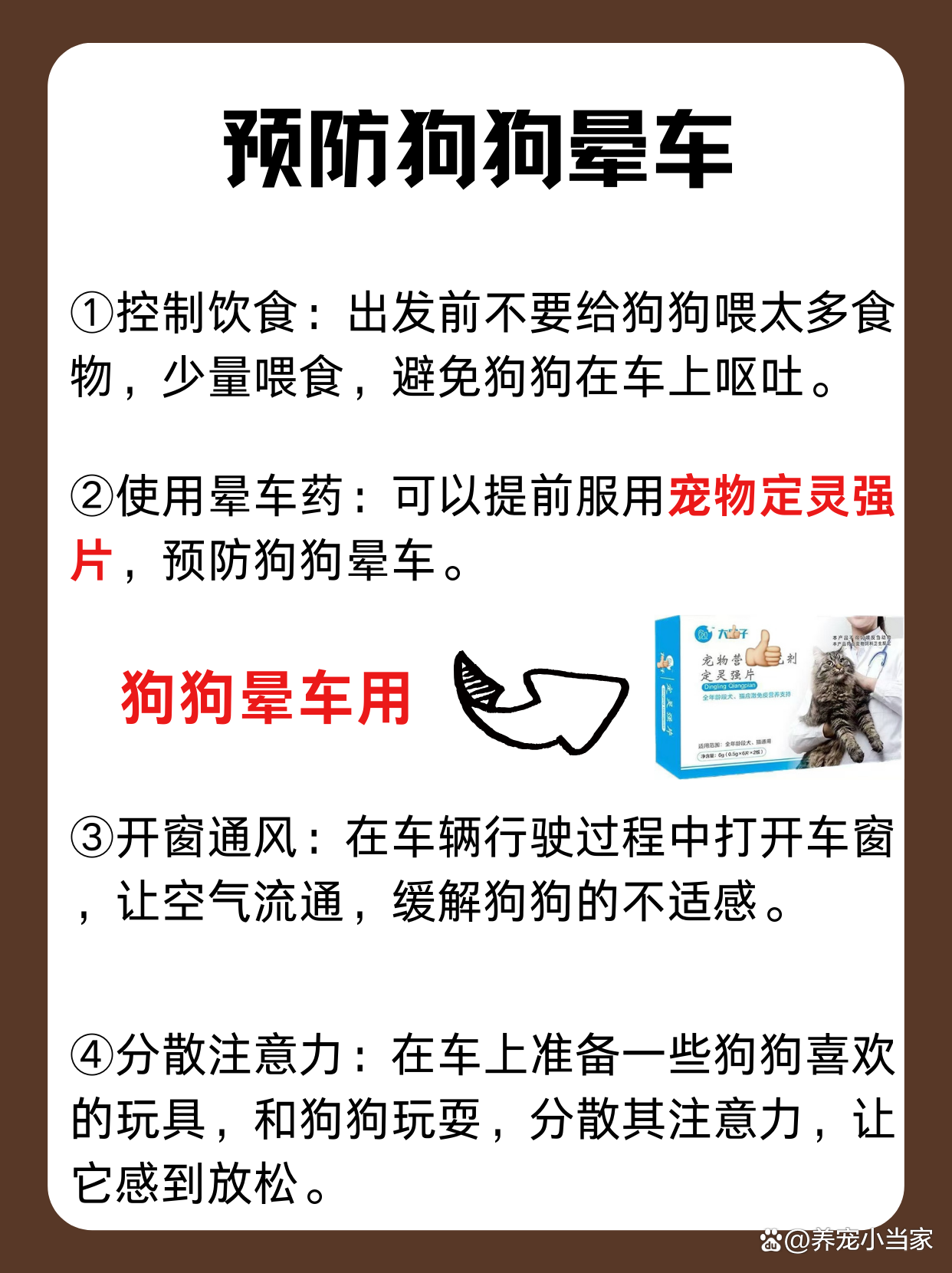 狗狗晕车怎么解决最有效