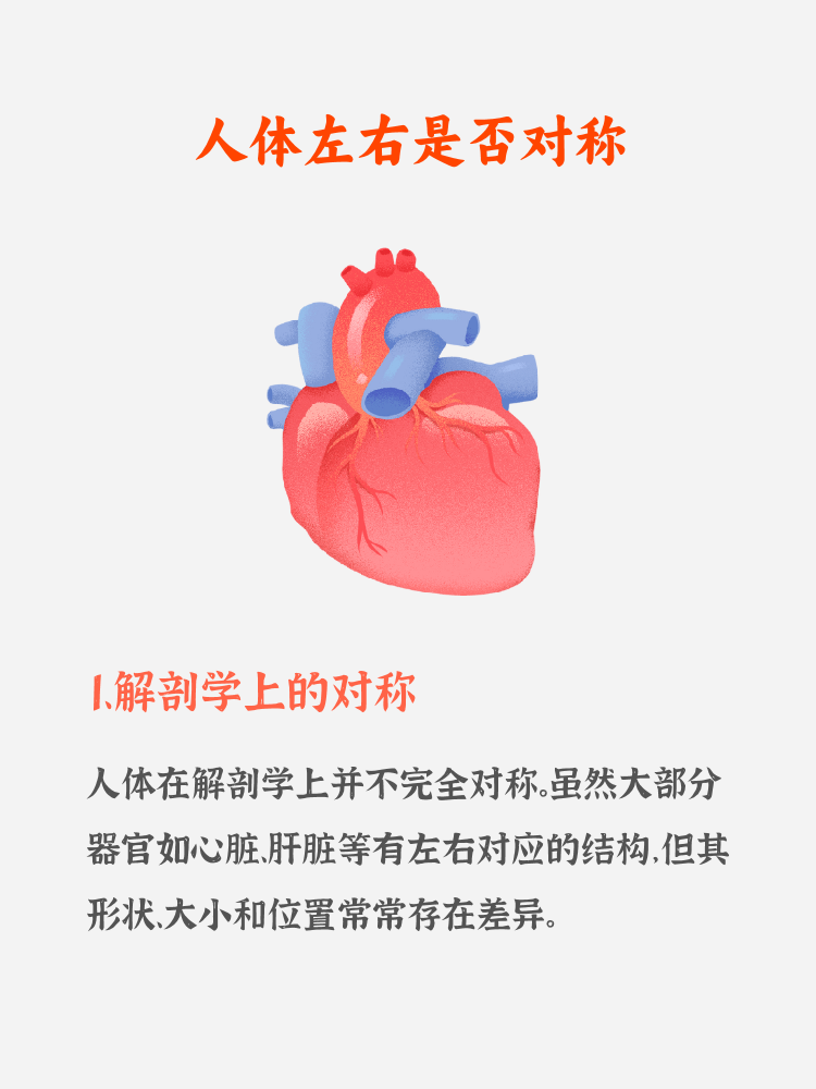 左支右绌怎么读