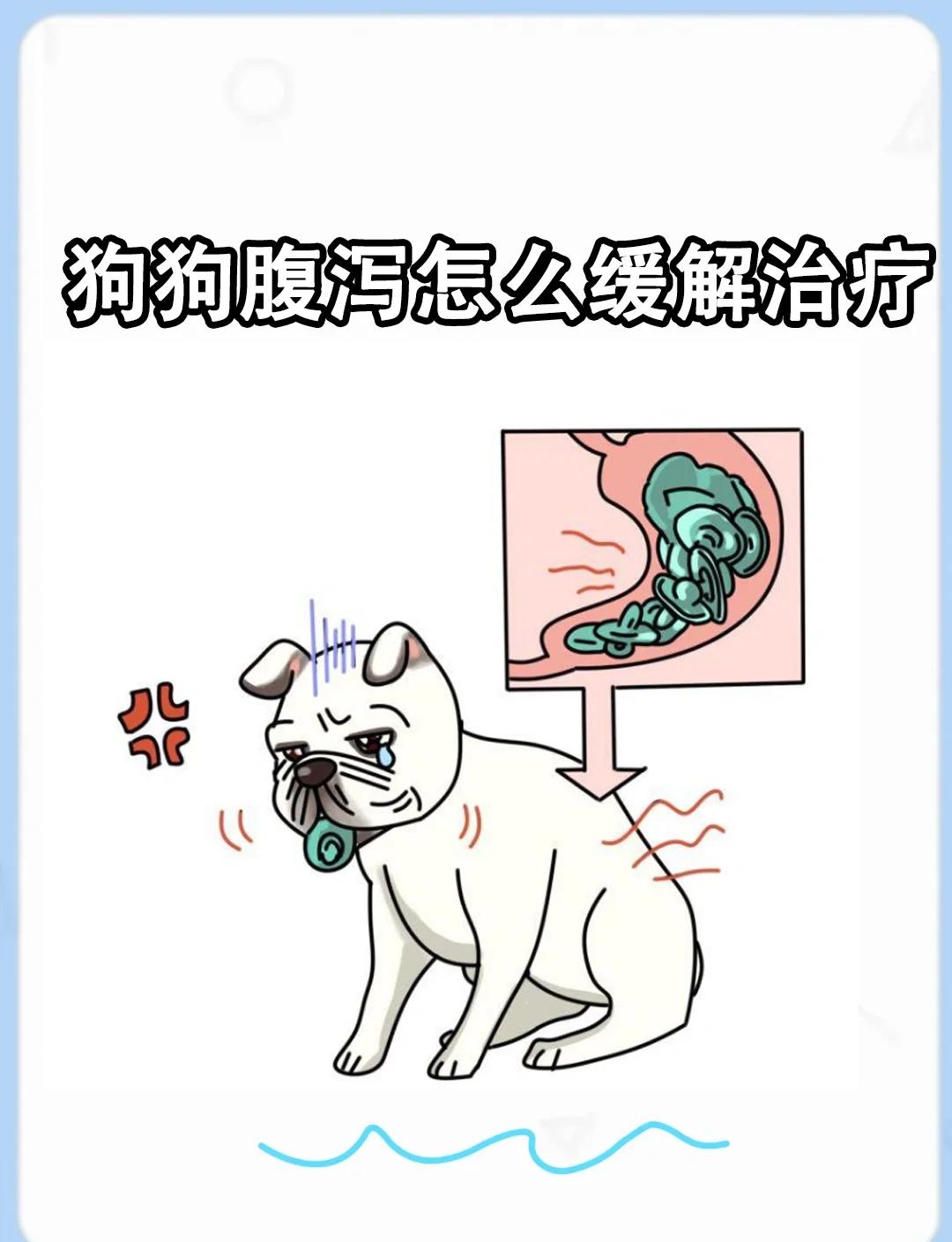 狗狗拉肚子怎么办吃什么药