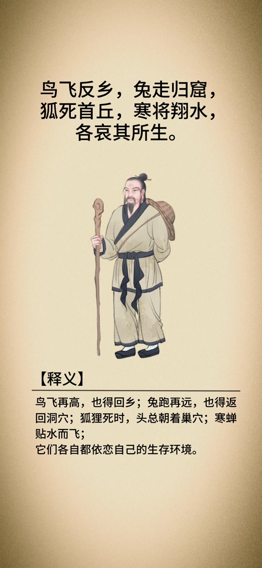 飞兔科技有限公司