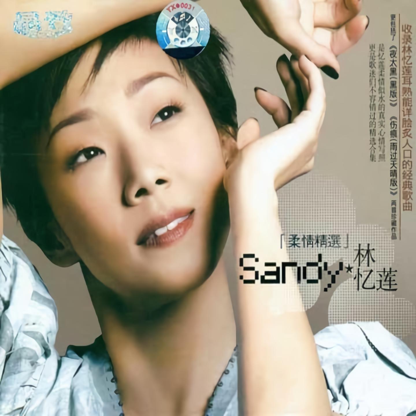 林忆莲经典歌曲大全歌词