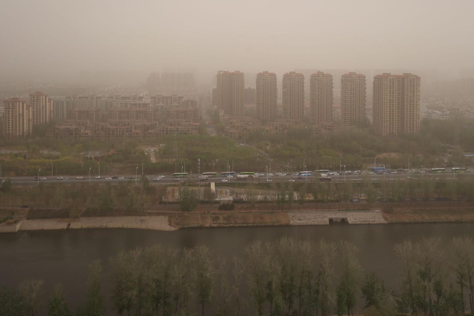 空气污染是什么生肖