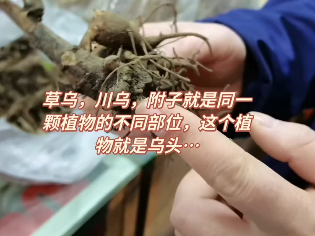 化为乌有是什么意思解释