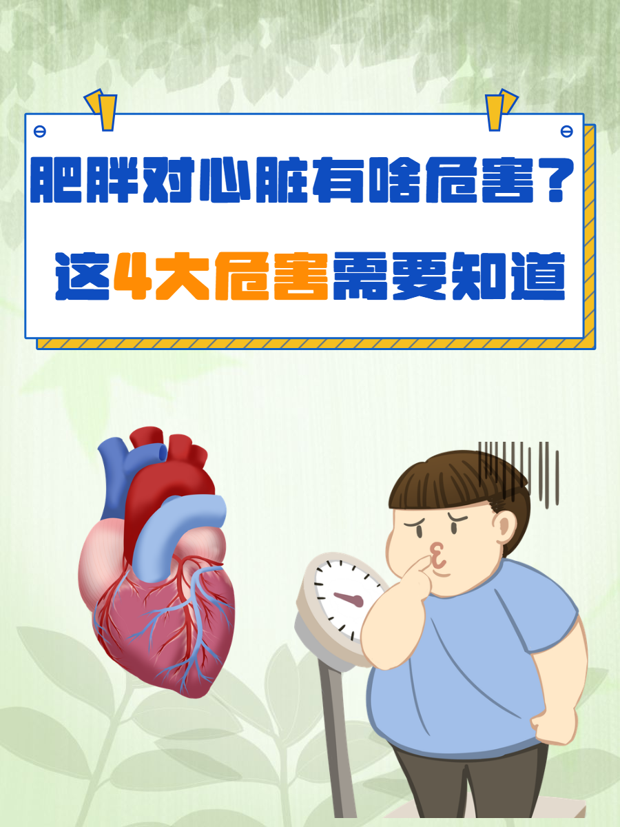 心宽体胖怎么读2019