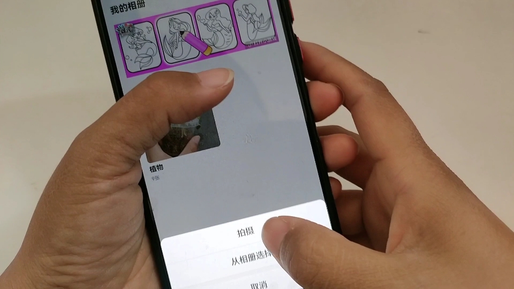 微信里面制作的相册在哪里找