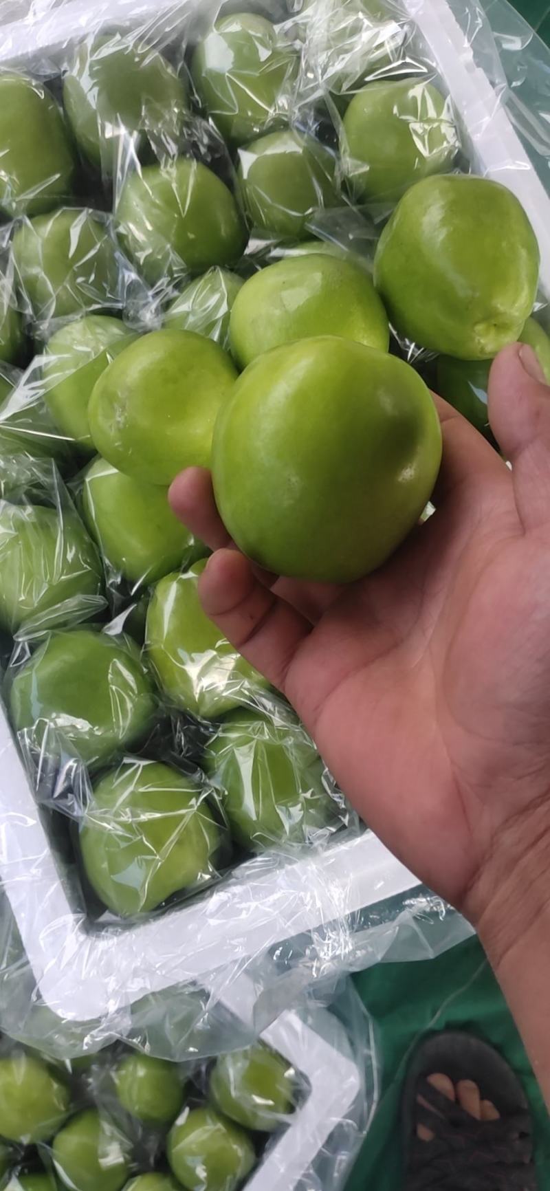 青枣每天吃多少合适