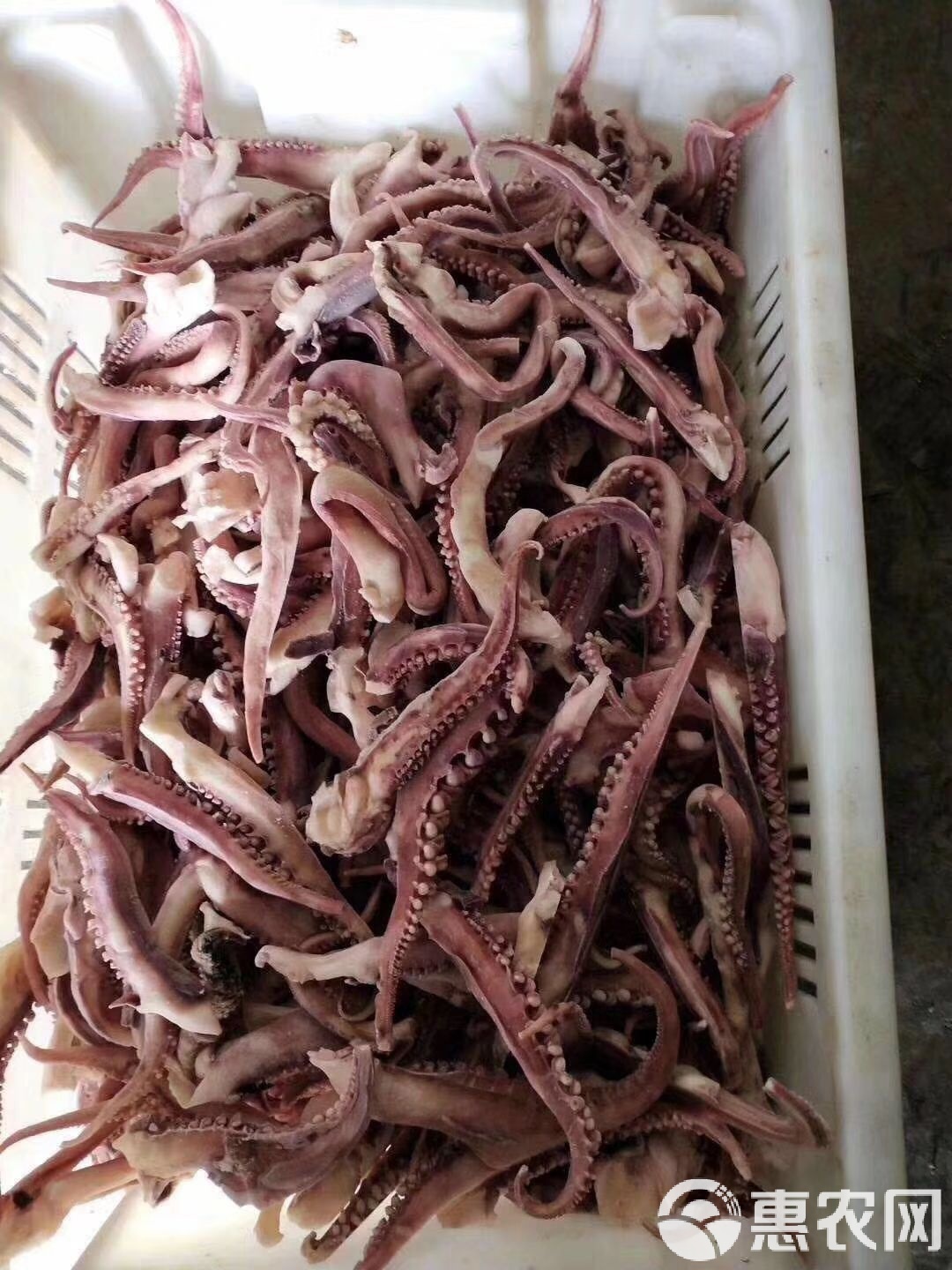 脆口章鱼须的家常做法