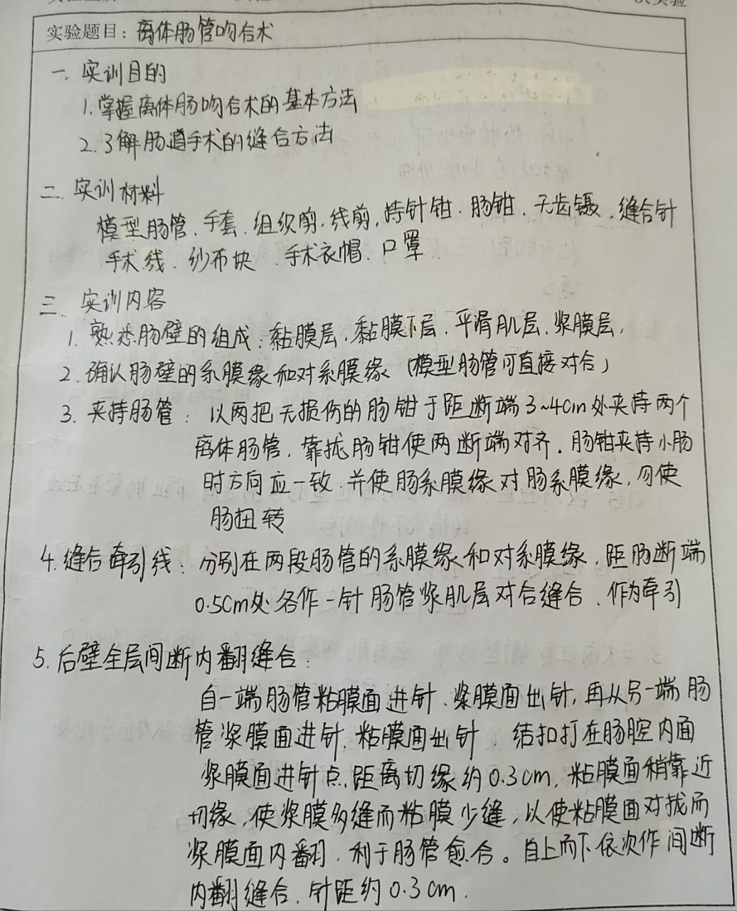 实验报告基本格式