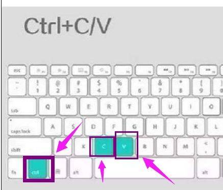 如何快速复制粘贴表格内容