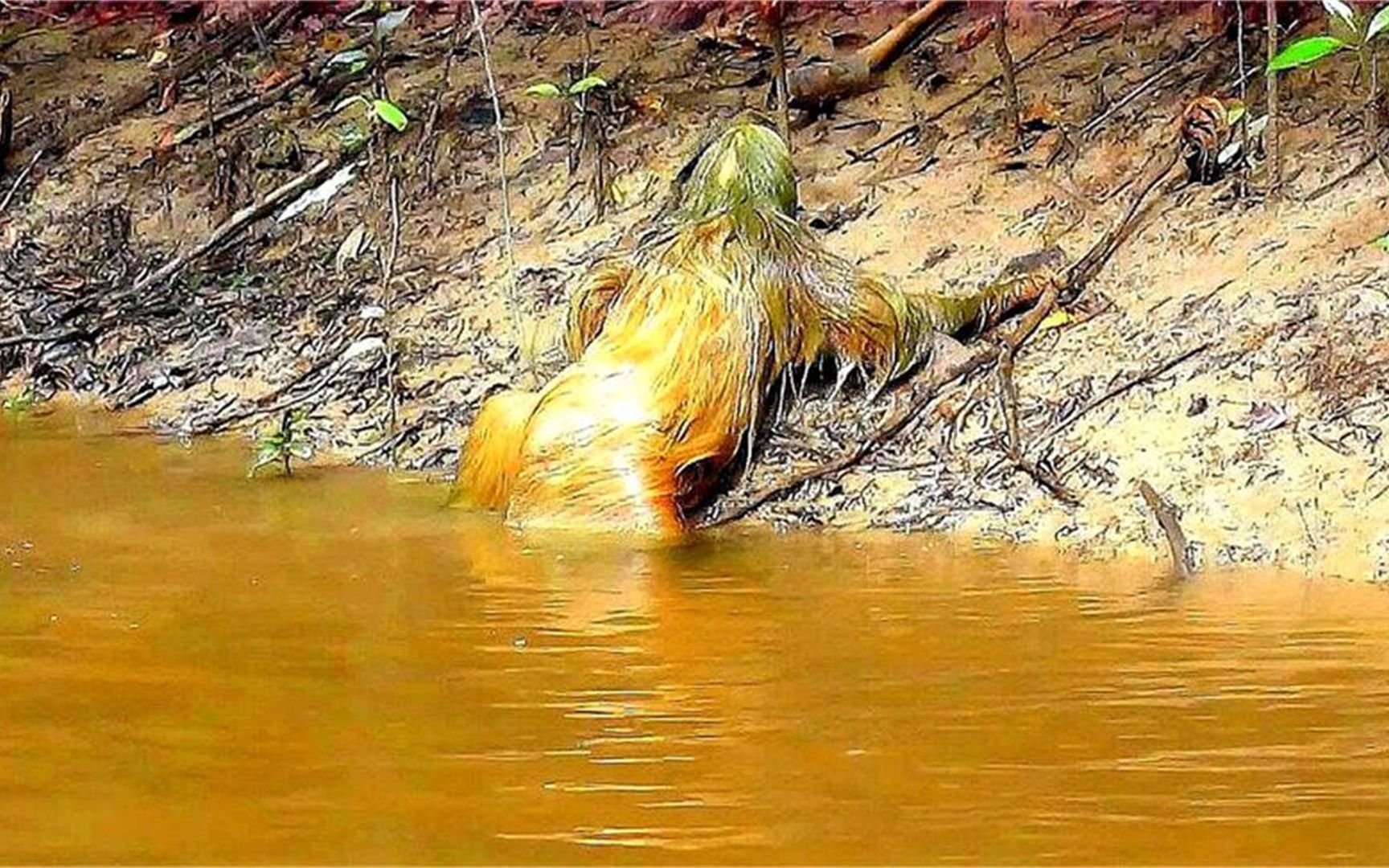 网络上说的水鬼是什么意思