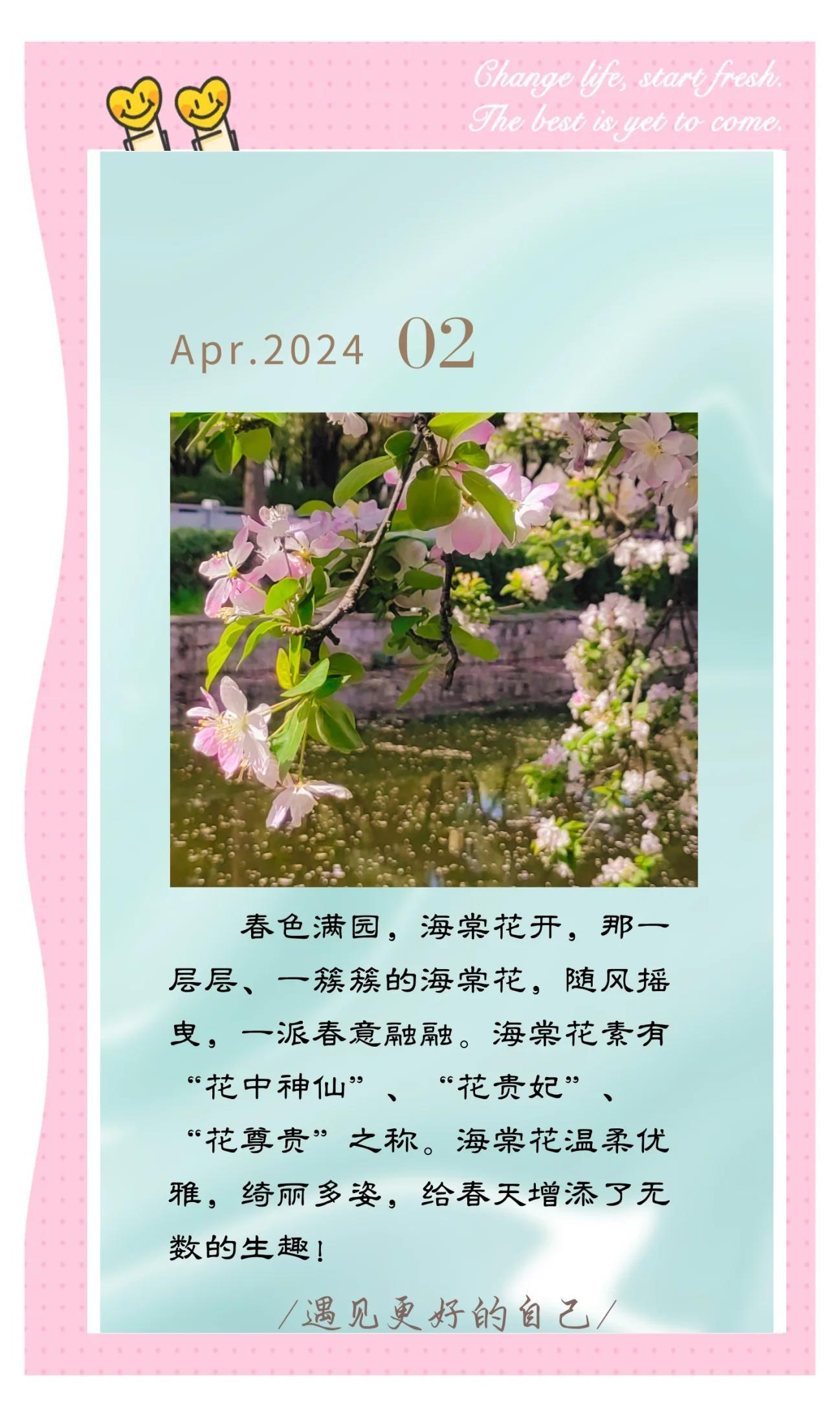 描写海棠花的诗句思念