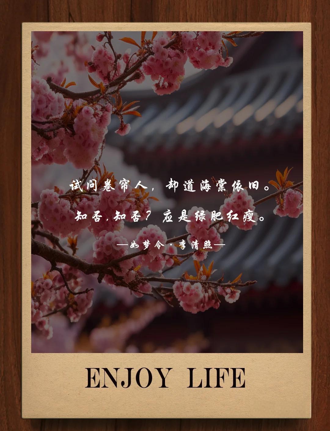 描写海棠花的诗句思念