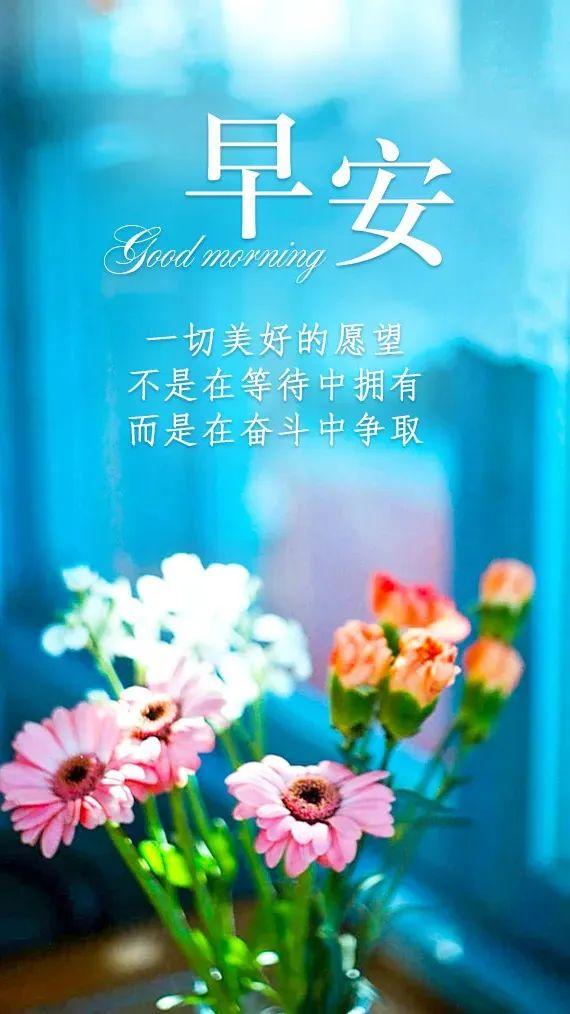朋友圈很励志的早安一句话