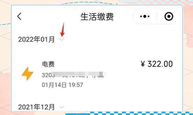 电费能查明细账吗?