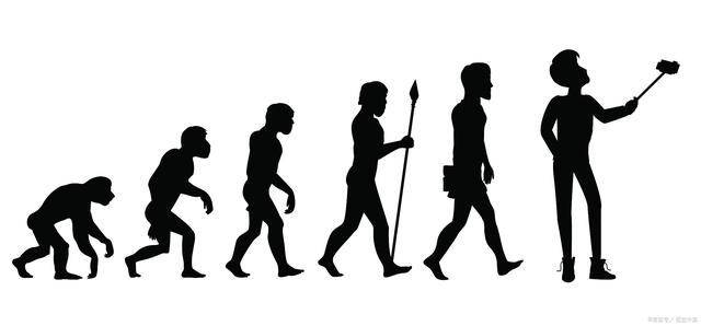 人类进化的五个阶段思维导图