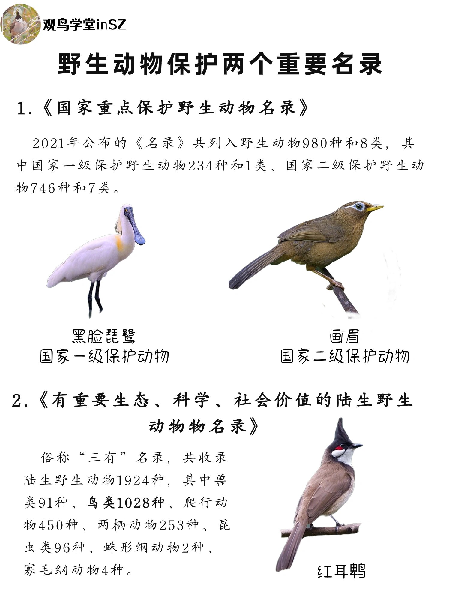 保护动物的资料怎么写