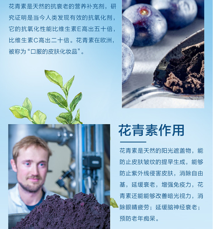 花青素含量排名火龙果