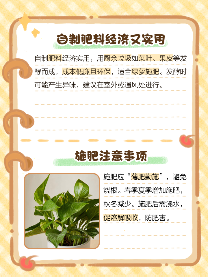 绿萝用什么肥料最好最旺盛