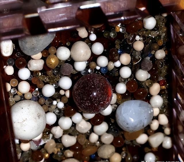 舍利子是啥东西,珍贵吗?