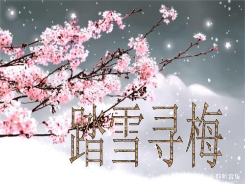 踏雪寻梅歌词图片
