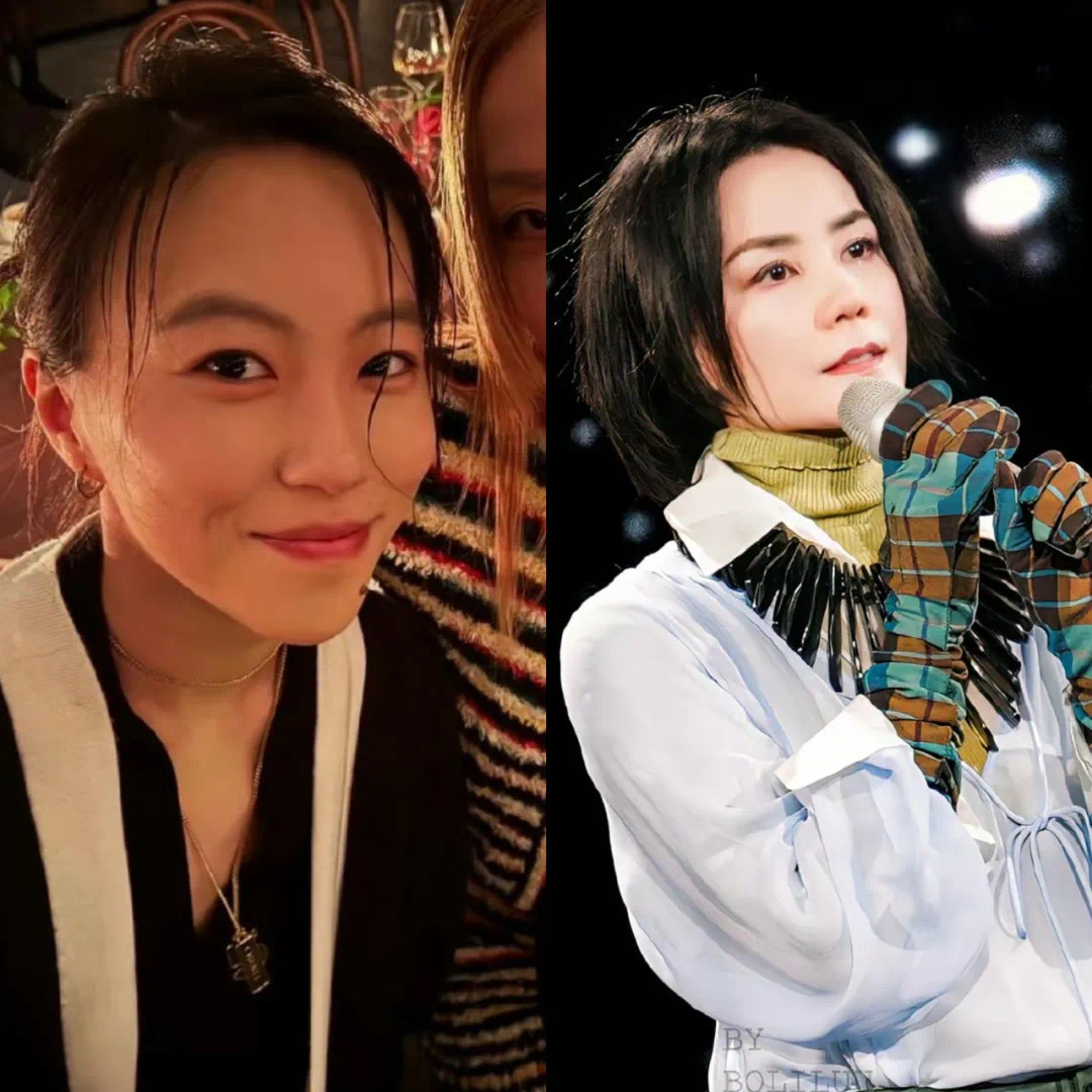 王菲对窦靖童说的话