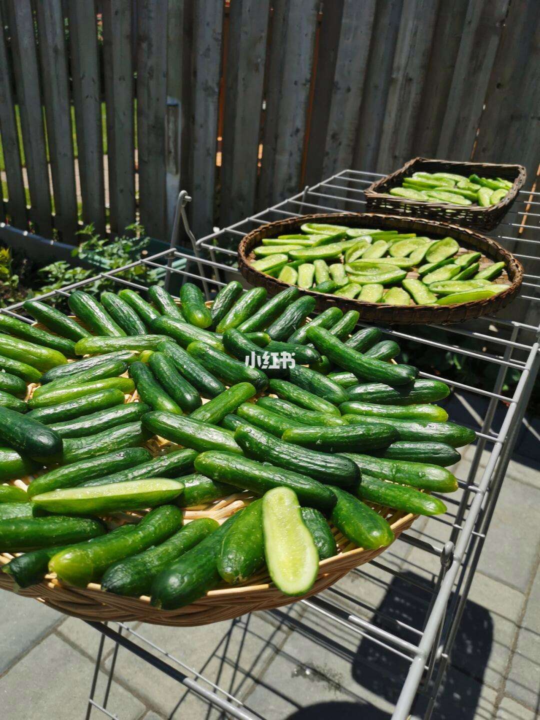 怎么晒黄瓜干不发黄