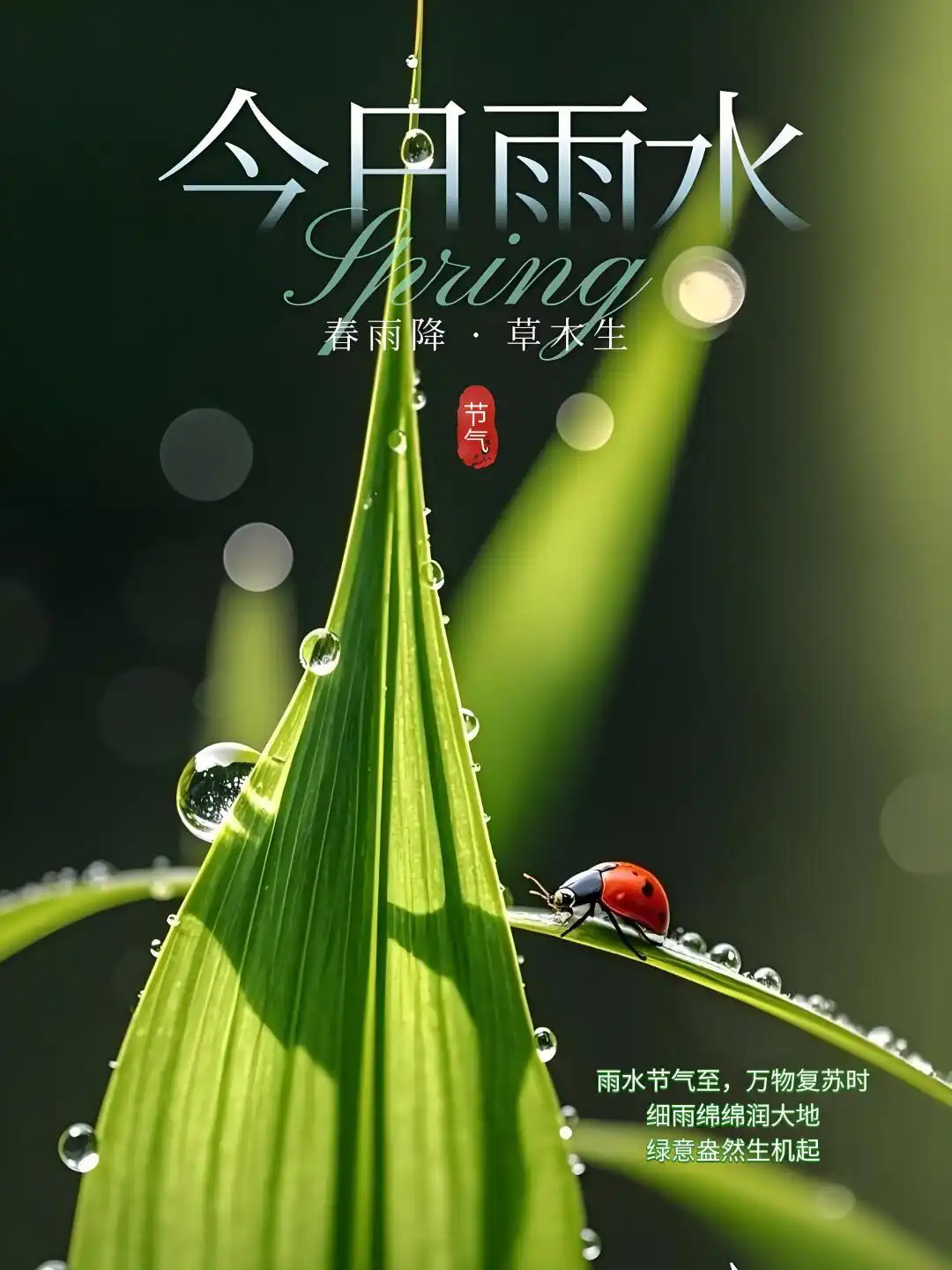 春风化雨是什么意思指什么生肖