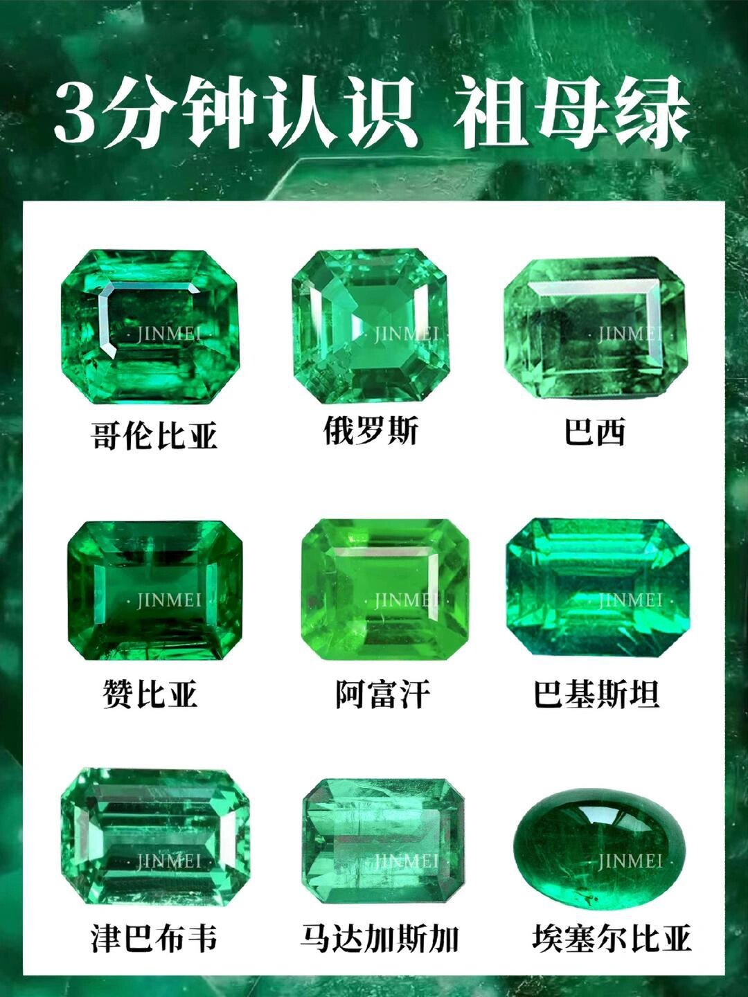 evergreen什么意思