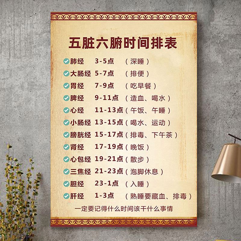 五脏六腑介绍手抄报