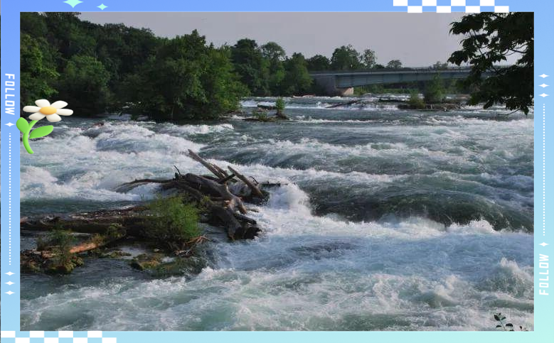 梦见很清的水是什么预兆