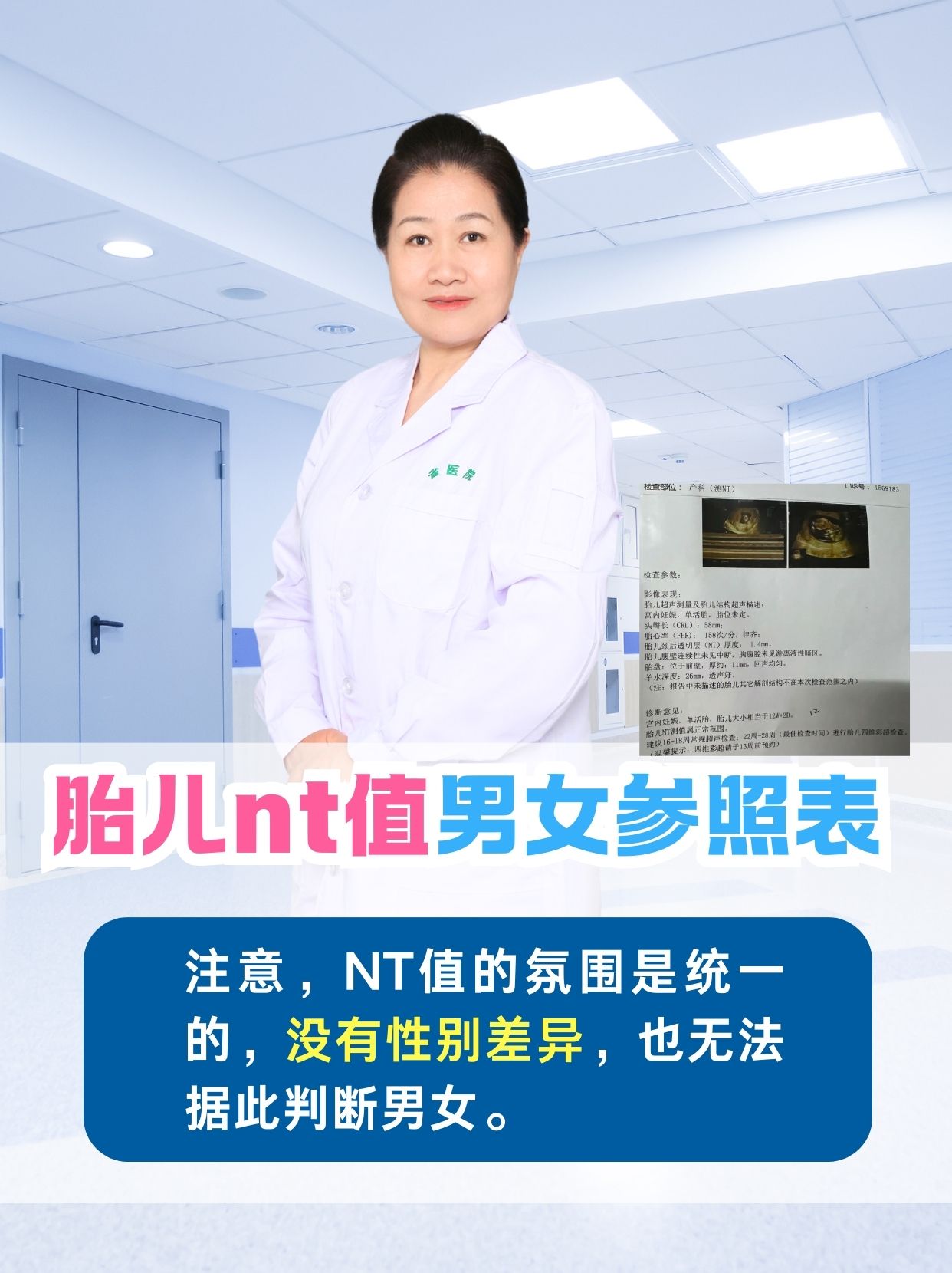 12周nt单子看男女区别图无非