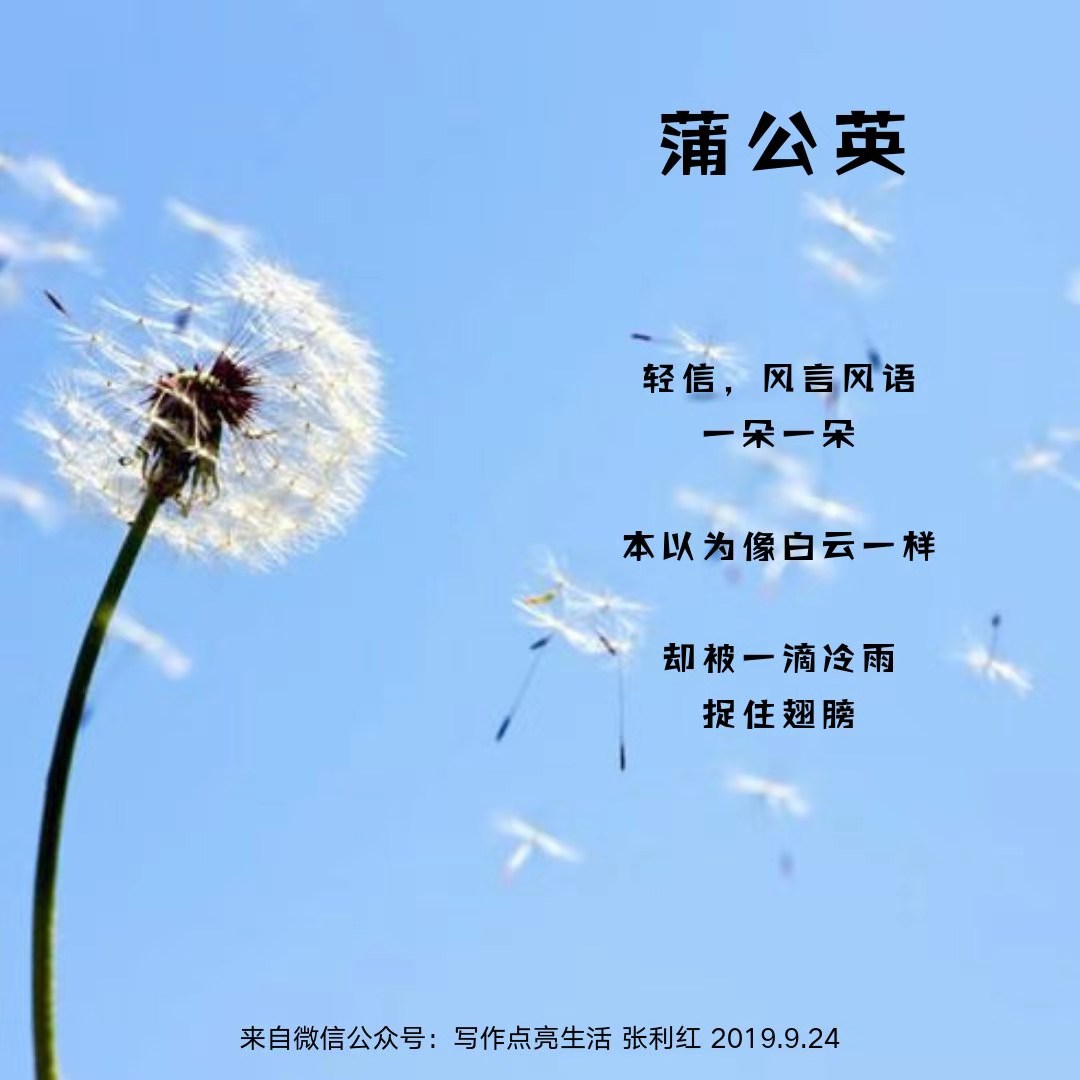 有关蒲公英的诗句