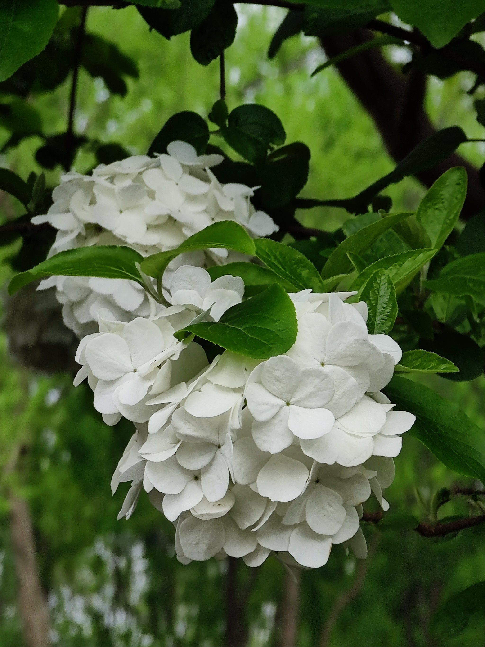 四月有什么特殊意义