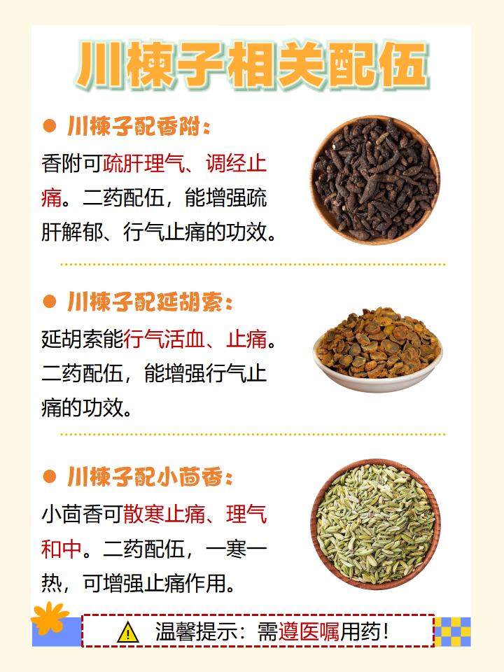 药引子比喻是啥意思