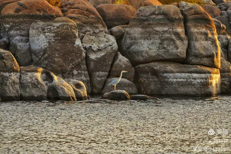 旖旎怎么读音是