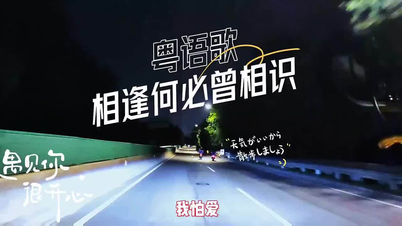 同是天涯沦落人是什么意思