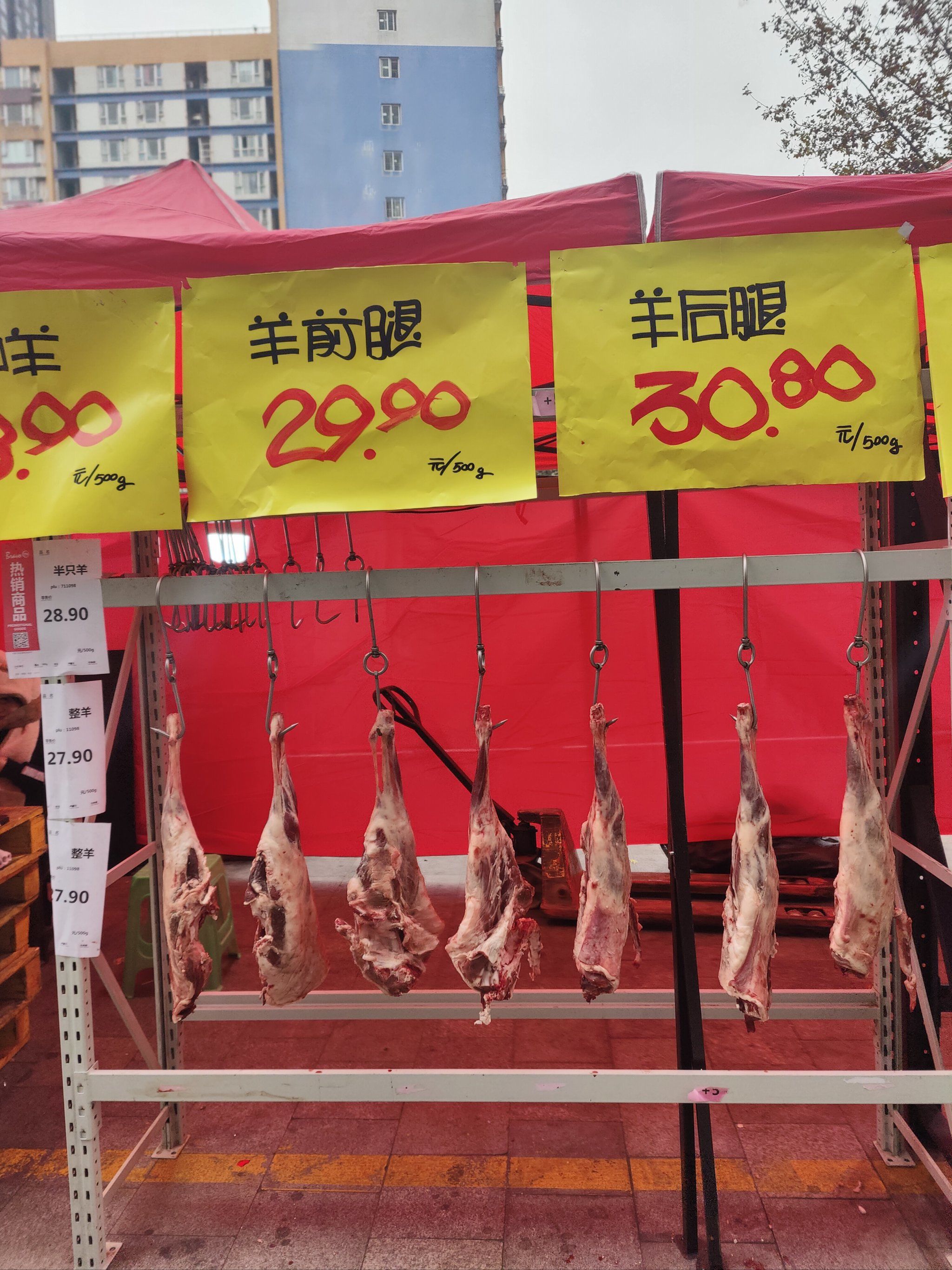 厂区垃圾清运合同范本模板