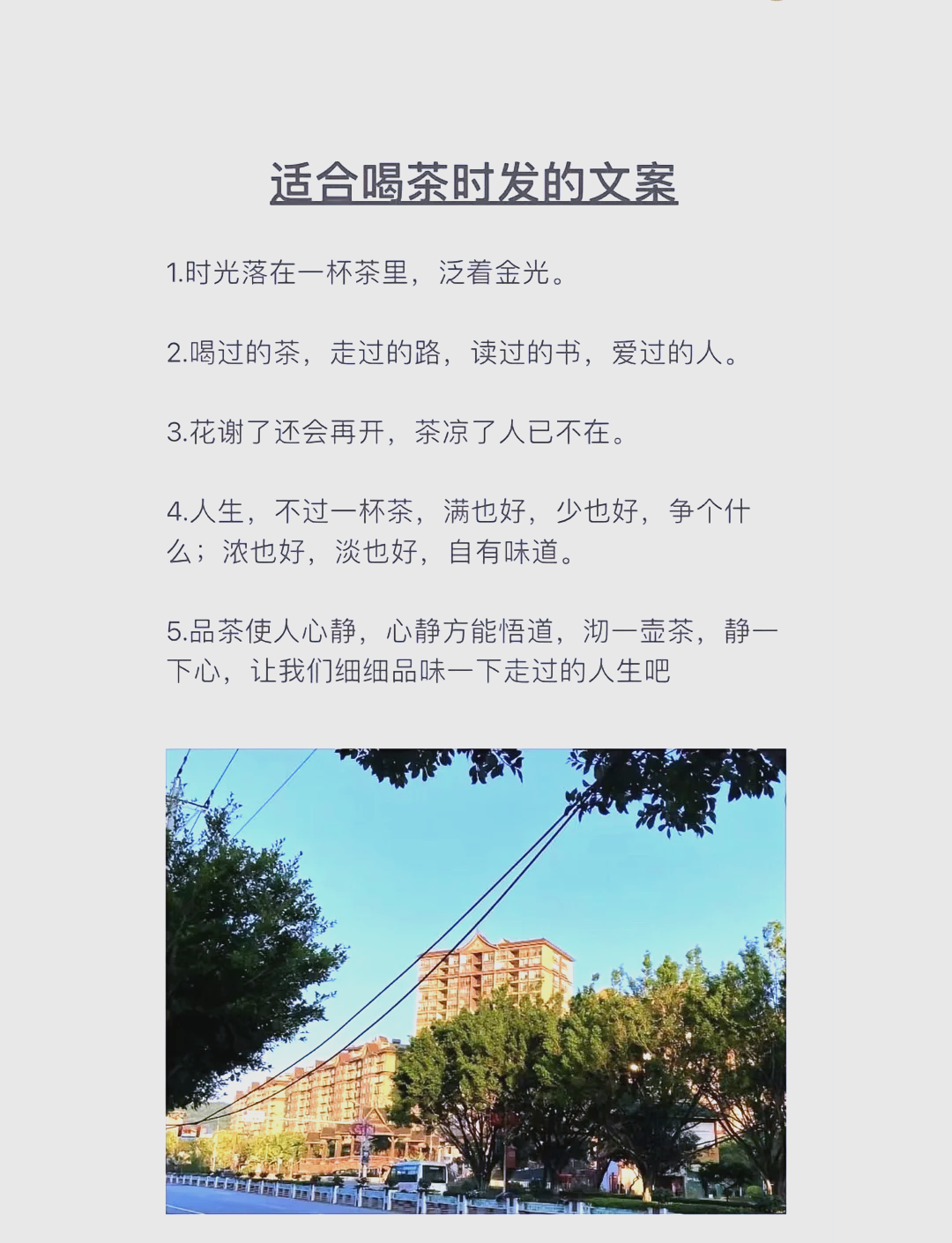 喝茶的文案简短