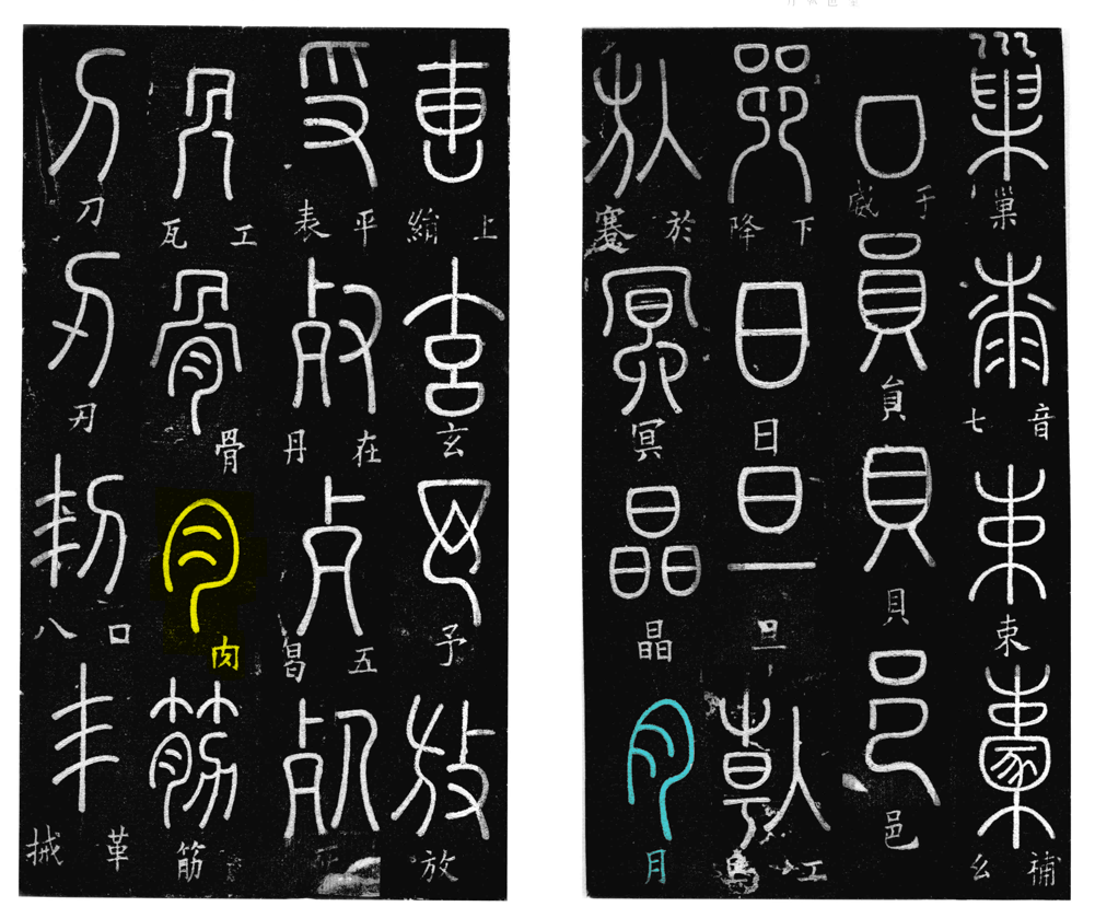 上面一个入字下面一个肉字念什么