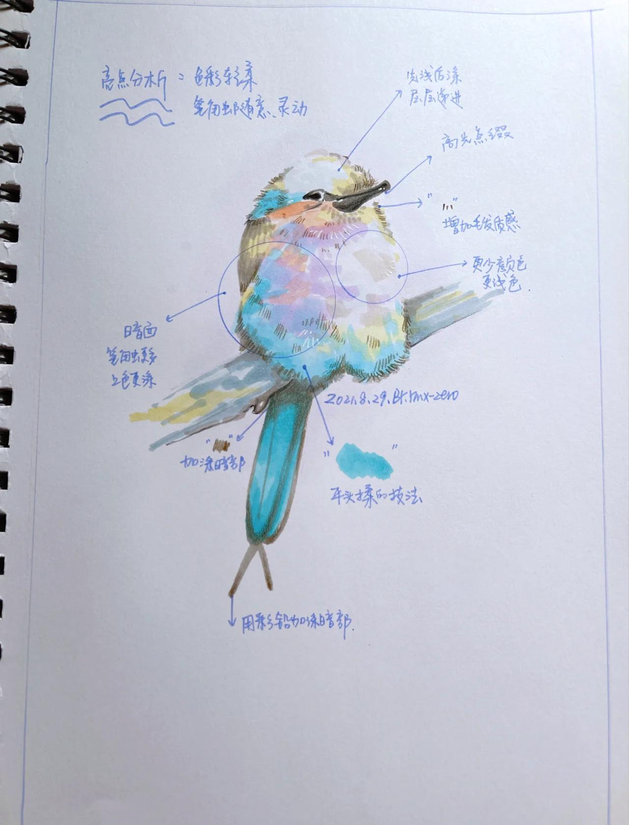 马克笔介绍说明