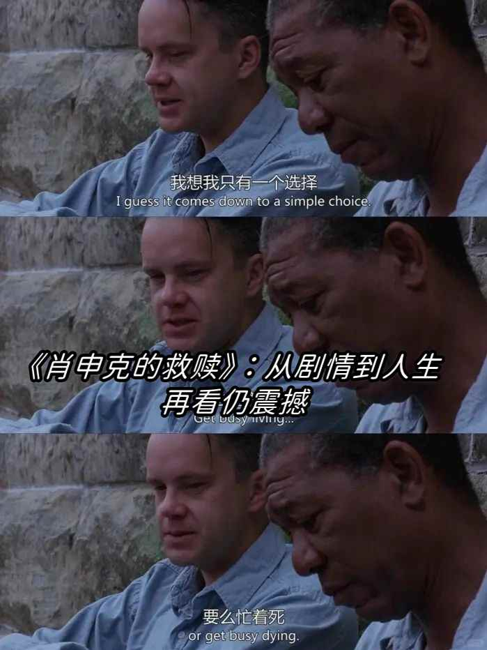 肖申克的救赎作品简介