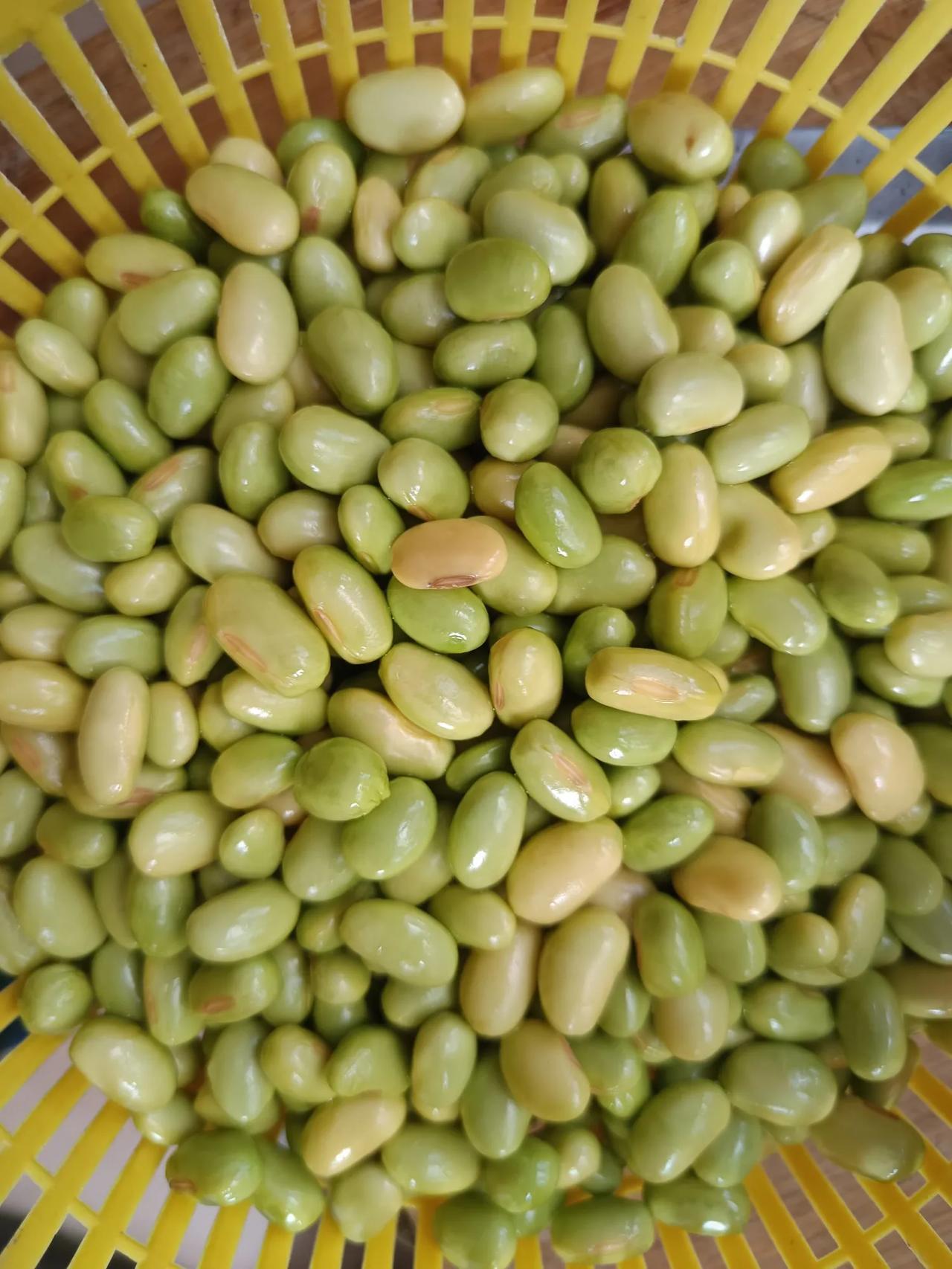 毛豆老了是不是黄豆?