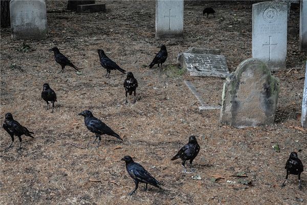 梦见挖坟梦见挖坟预兆什么呢