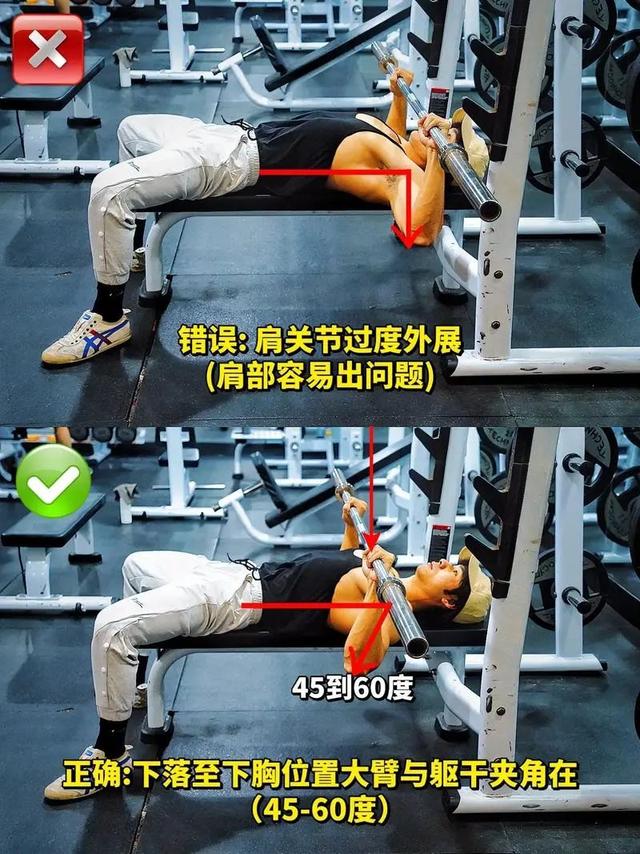 杠铃卧推练哪里的肌肉