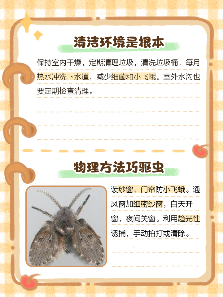 房间里蛾子多怎么办