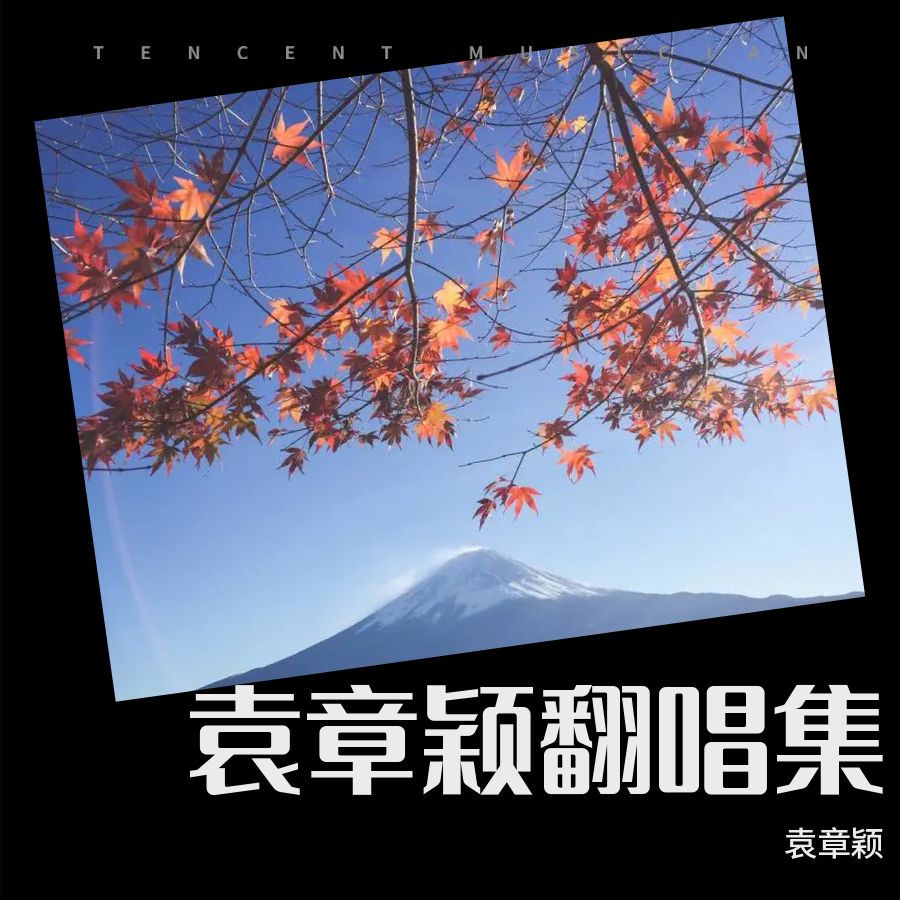 玻璃之情中文歌词