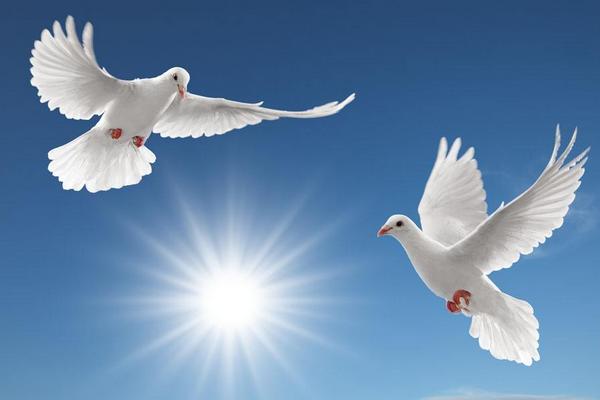 女人梦见自己会飞起来