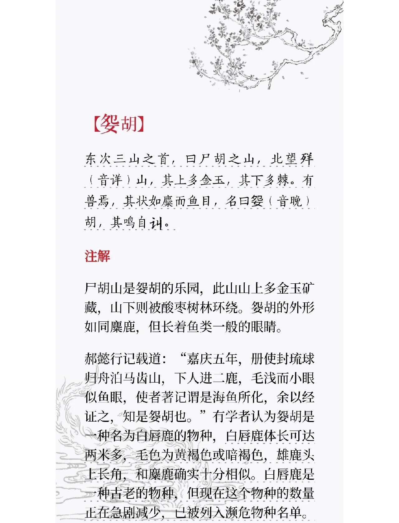 桦尺蛾和桦尺蠖怎么读